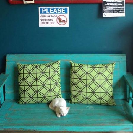 Monkey Dive Hostel Khaolak Khao Lak Extérieur photo